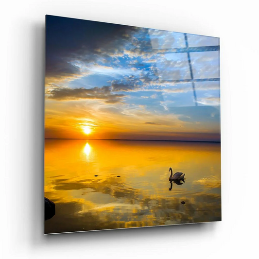 Serene black swan sunset glass wall art with gliding swan on golden water