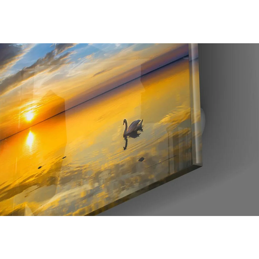 Sleek black swan sunset glass wall art print with serene water glide