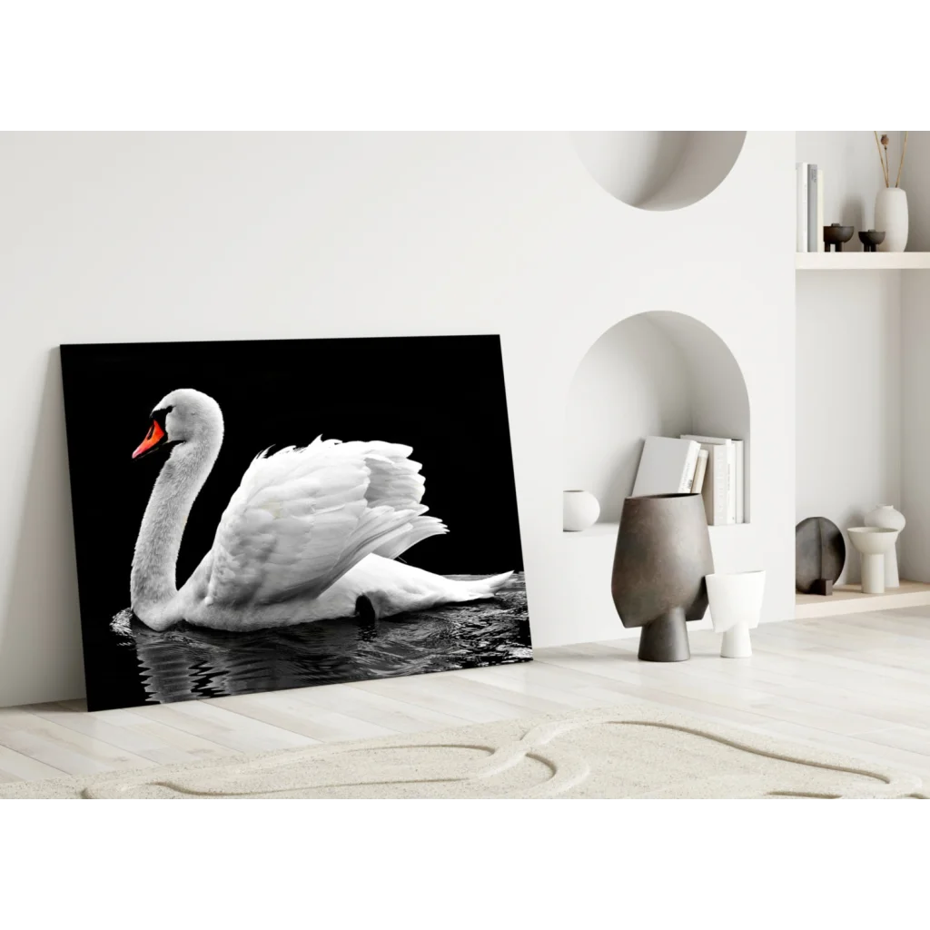 Graceful white swan glass wall art on black background