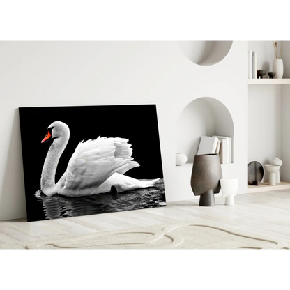 Graceful white swan glass wall art on black background