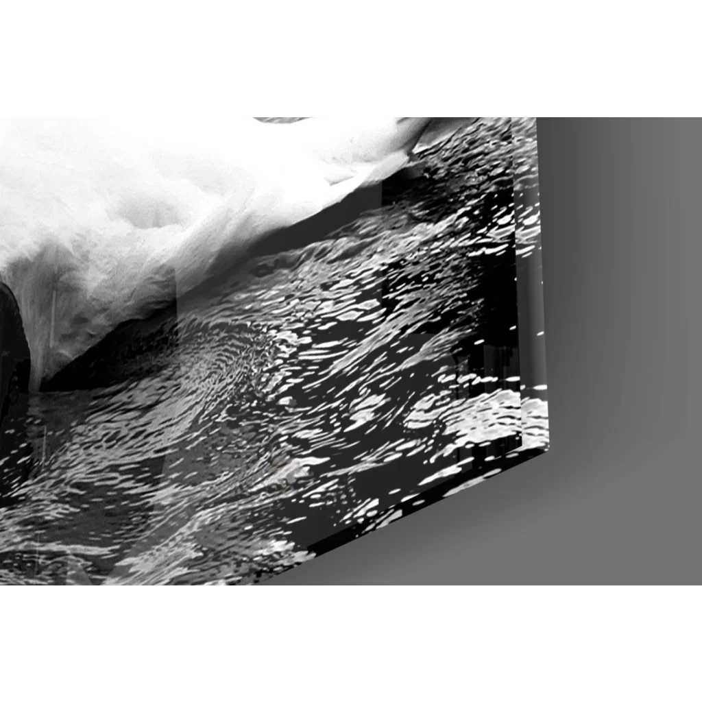 Stunning swan glass wall art in black-and-white abstract waves