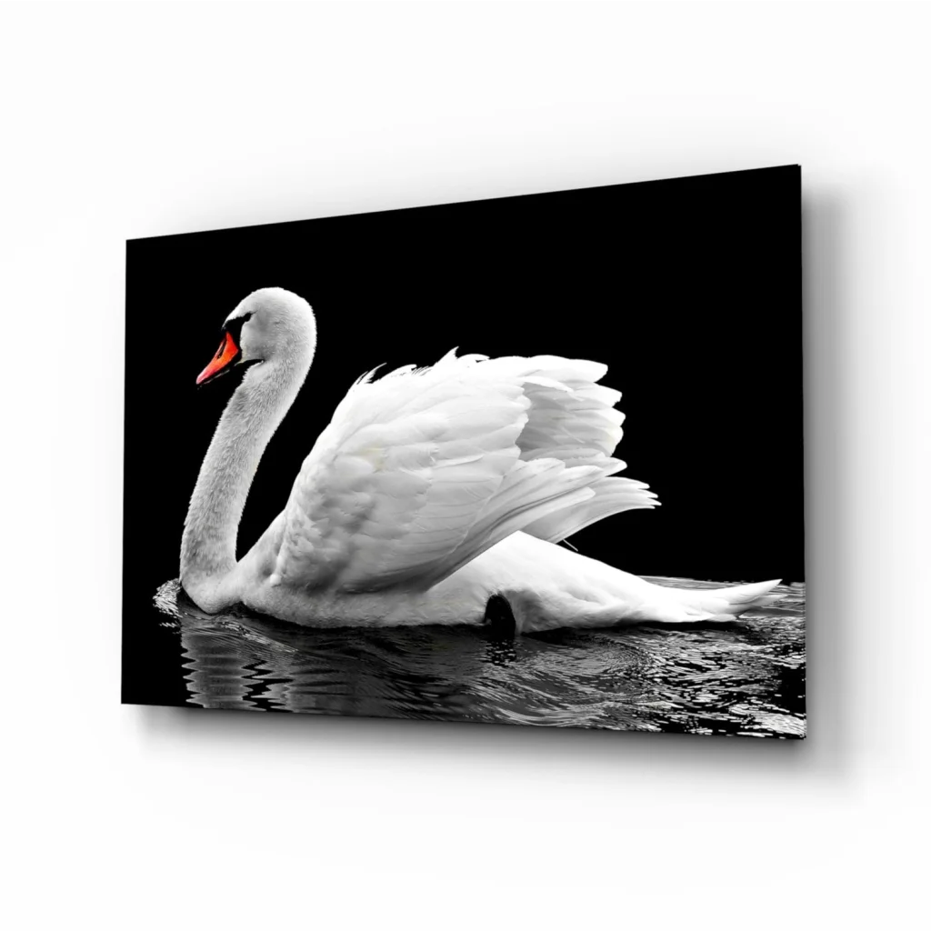 Bold black and white glass wall art of white swan with orange beak