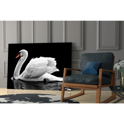 Graceful white swan glass wall art on black background