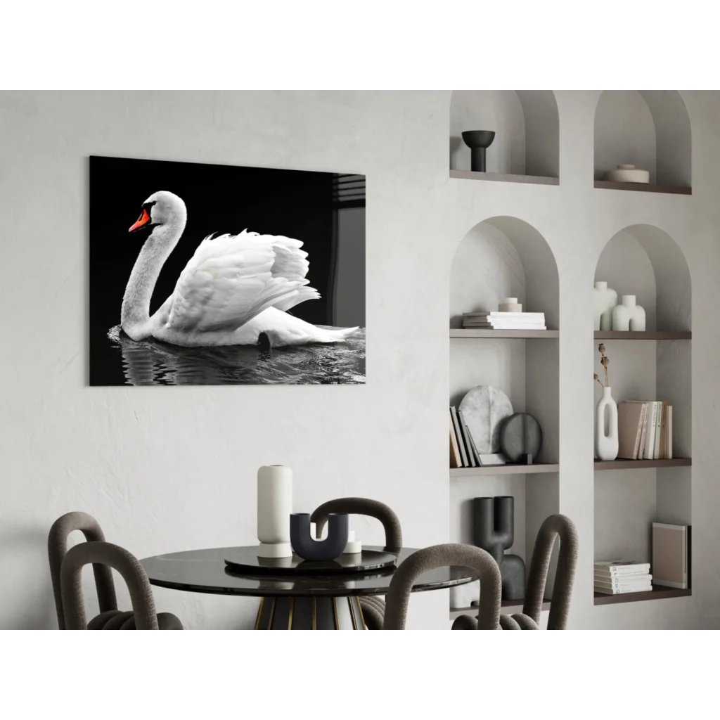 Stunning black and white swan glass wall art reflection