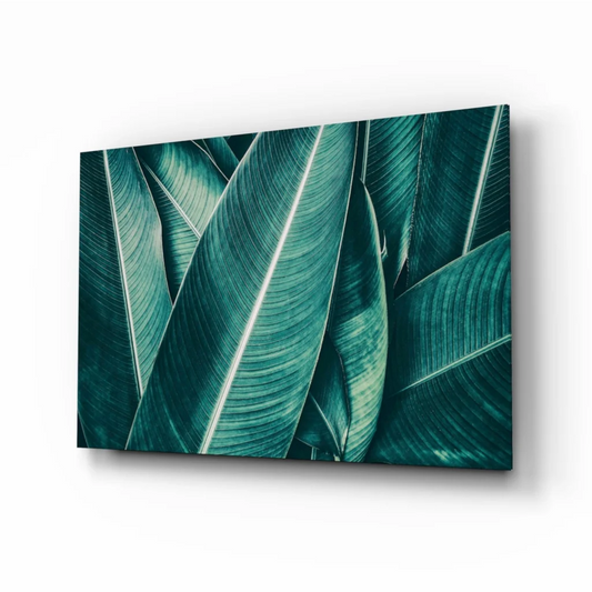 Teal banana leaf canvas wall art print