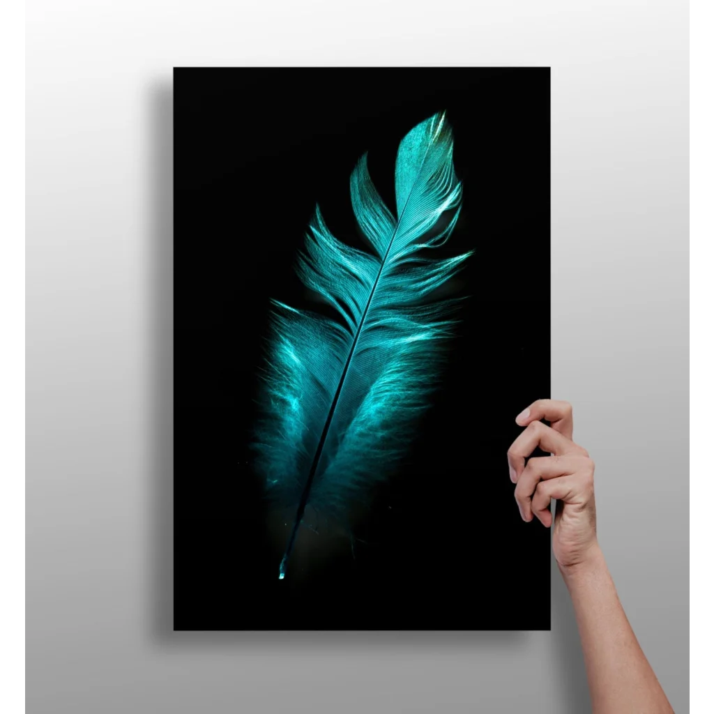 Stunning Teal Feather Insigne Aluminum Prints for Your Wall | Insigneart USA | vintageantiquesgifts.com