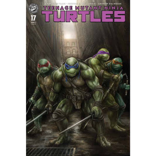 Teenage mutant ninja turtles #17 comic book cover featuring four green turtles in colored bandanas with weapons