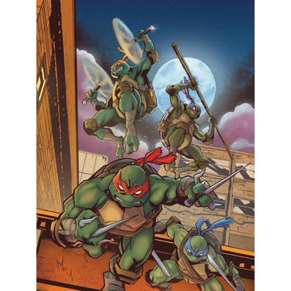 Green Teenage Mutant Ninja Turtle with red mask and sais in comic collection