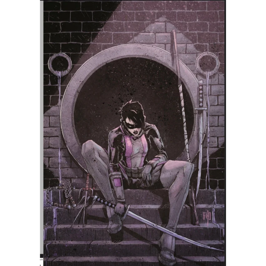 Female superhero in dark costume with pink chest panel holding sword from Teenage Mutant Ninja Turtles Last Ronin epic adventure