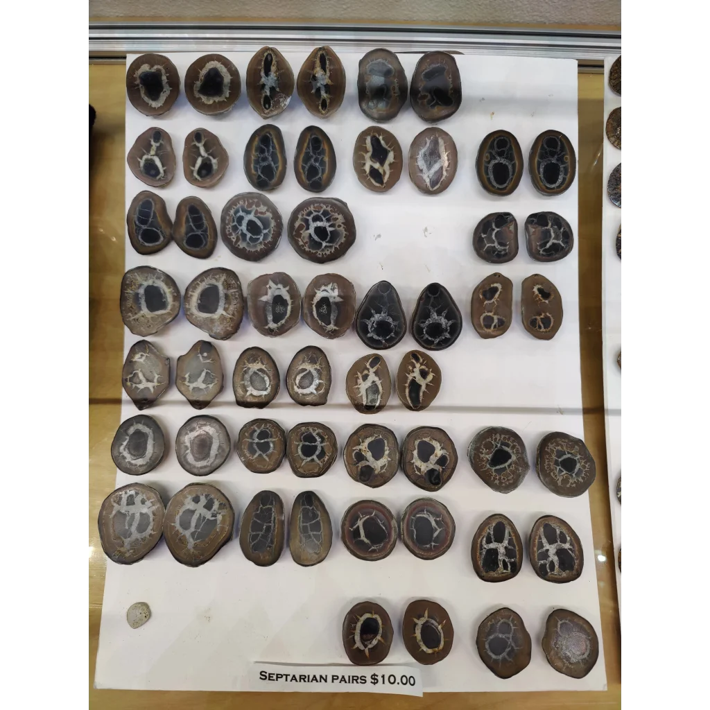Brown and black thunder egg slices with white patterns in grid display