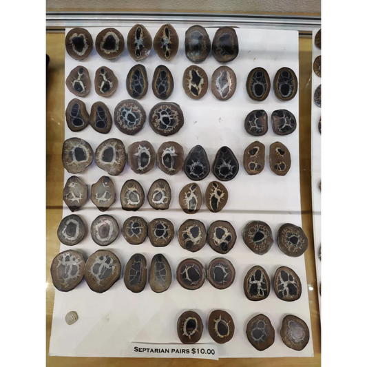 Brown and black thunder egg slices with white patterns in grid display