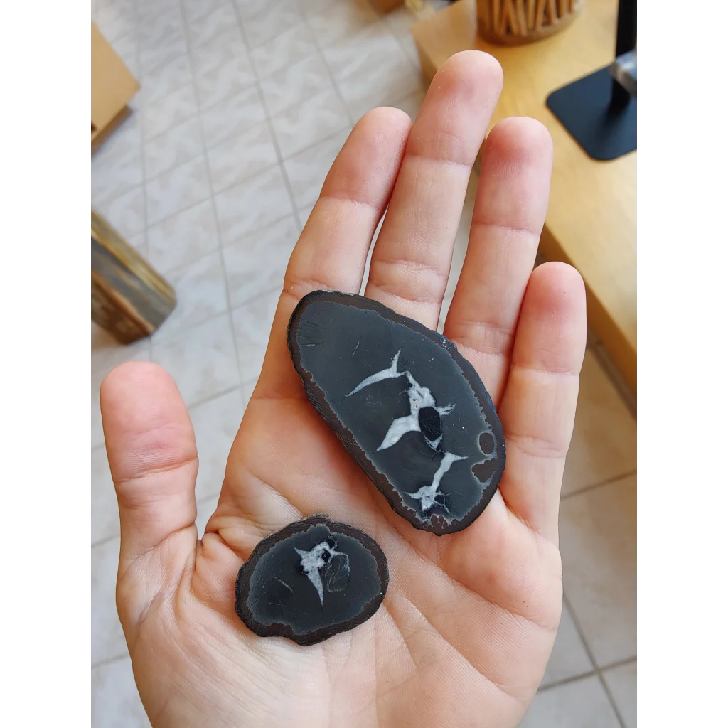 Hand holding polished thunder egg slices with white star-like inclusions