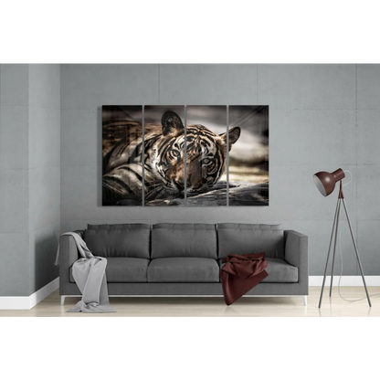 Stunning Glass Wall Art Prints for Your Space | Modern Wall Art Decor | vintageantiquesgifts.com