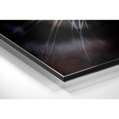 Stunning Brushed Aluminium Dibond Prints That Pop With Color | Glass Wall Art Print | vintageantiquesgifts.com