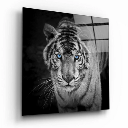 Striking white tiger glass wall art with piercing blue eyes