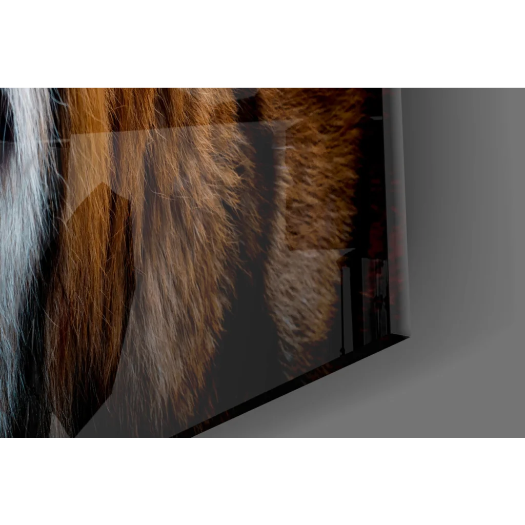 Fierce tiger wall art canvas print with bold orange stripes and textured fur