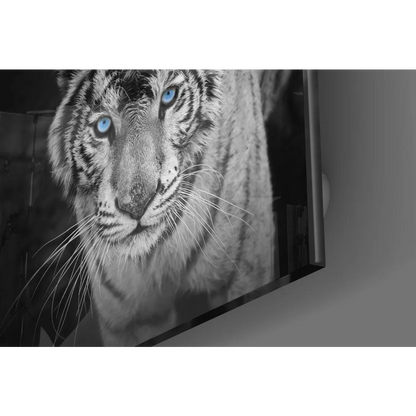 Striking black-and-white white tiger glass wall art with piercing blue eyes