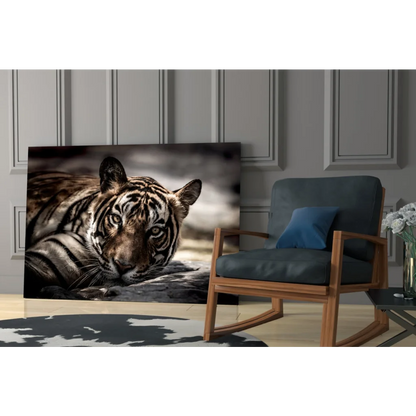 Striking black-and-white tiger eyes wall art canvas print