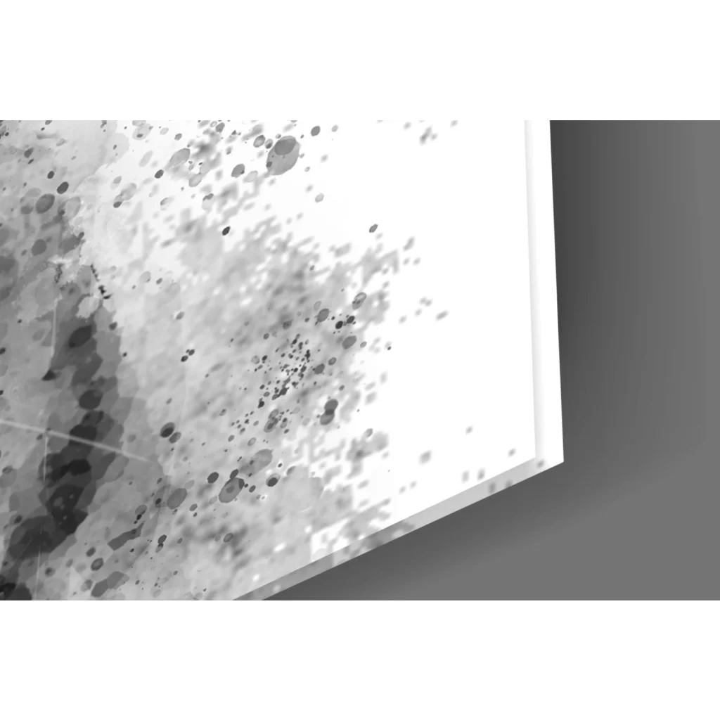 Fierce tiger splatter wall art canvas in bold black and white