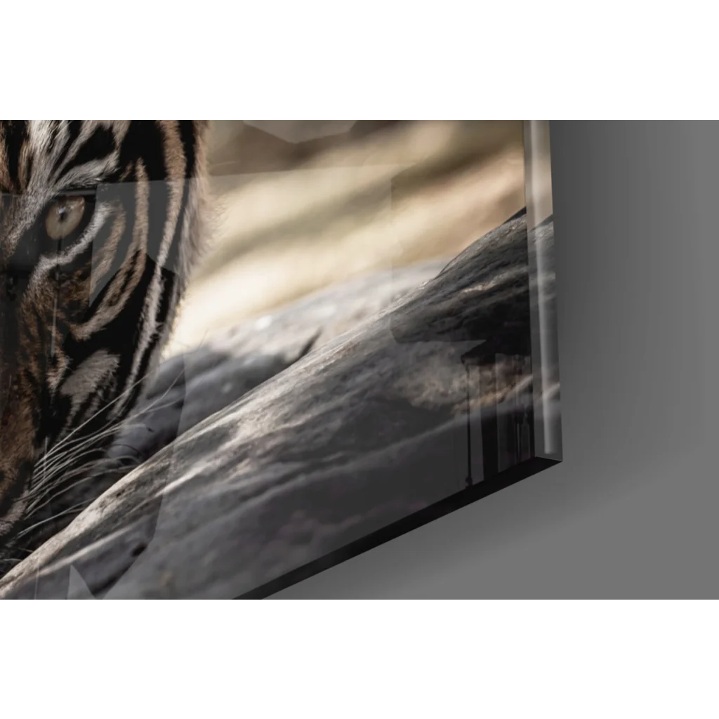 Striking black and white tiger eyes glass wall art print