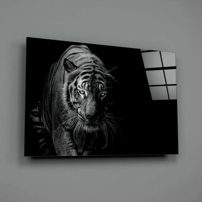 Fierce tiger canvas wall art in bold black and white on wall
