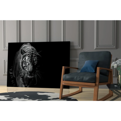 Fierce black-and-white tiger canvas wall art with white stripes and intense eyes