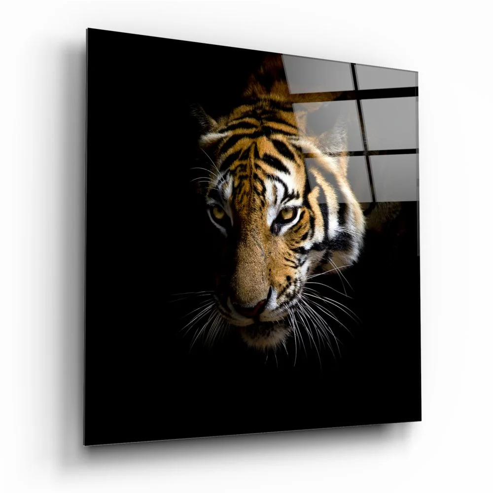 Fierce tiger face on bold tempered glass art panel
