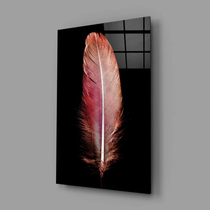 Rose gold feather glass wall art print on glossy black acrylic panel