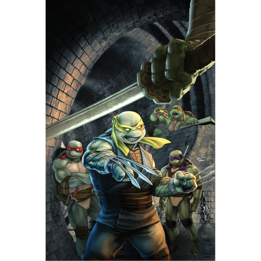 Animated tmnt jennika turtles in ninja poses for epic solo adventure product display