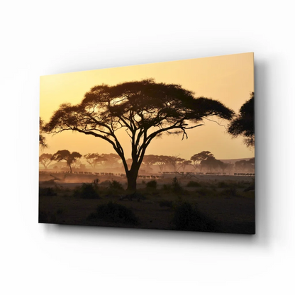 African sunset glass wall art with acacia tree silhouette on canvas