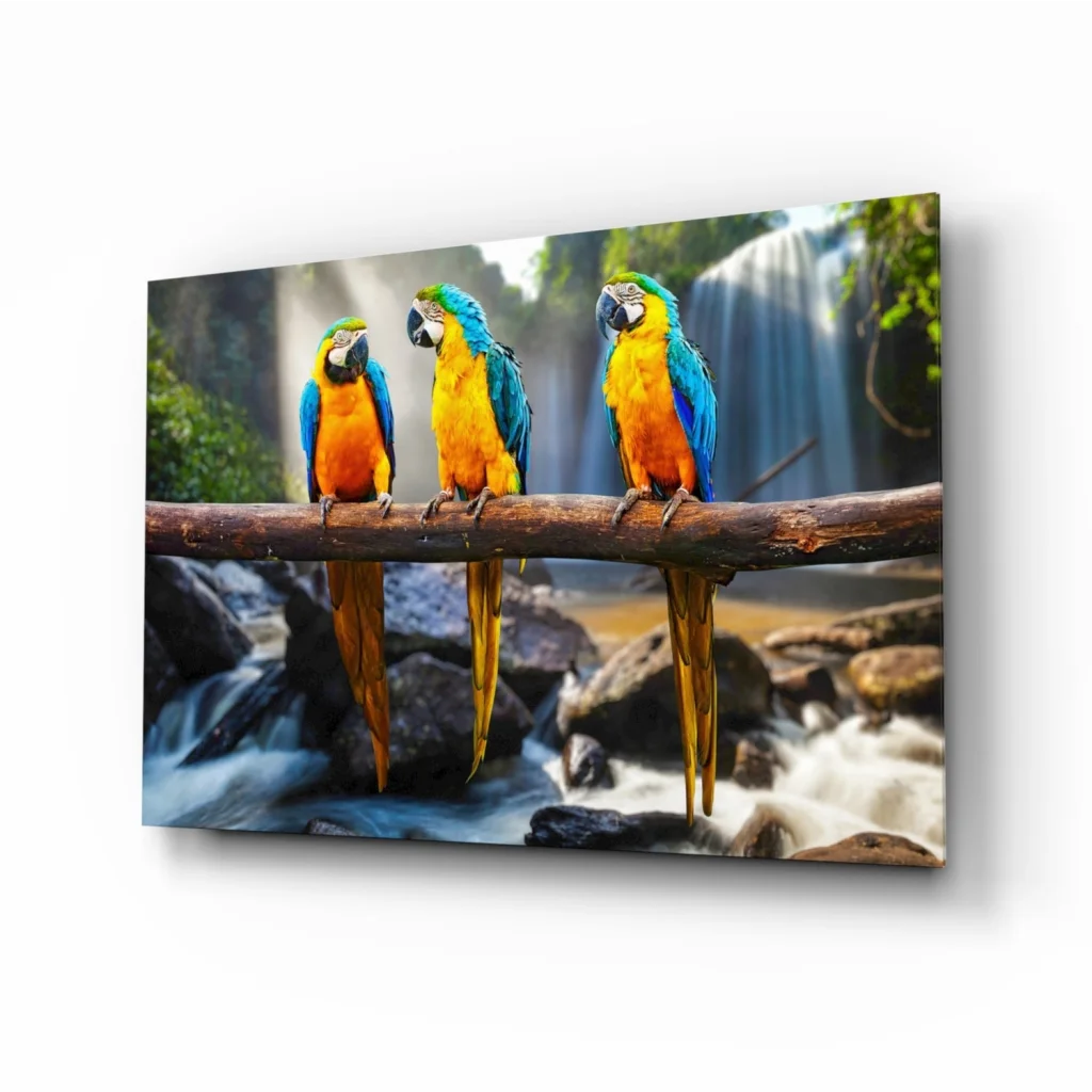 Vibrant blue and yellow macaws on sleek canvas wall art