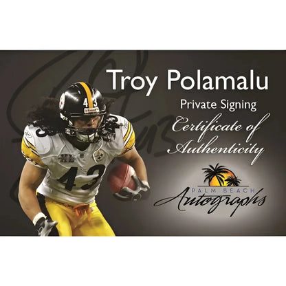 Troy Polamalu signed deluxe framed Steelers jersey with number 42