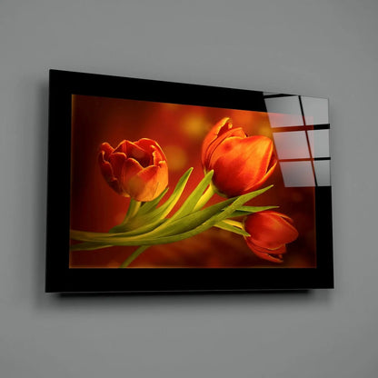 Vibrant orange tulips in sleek black frame glass wall art