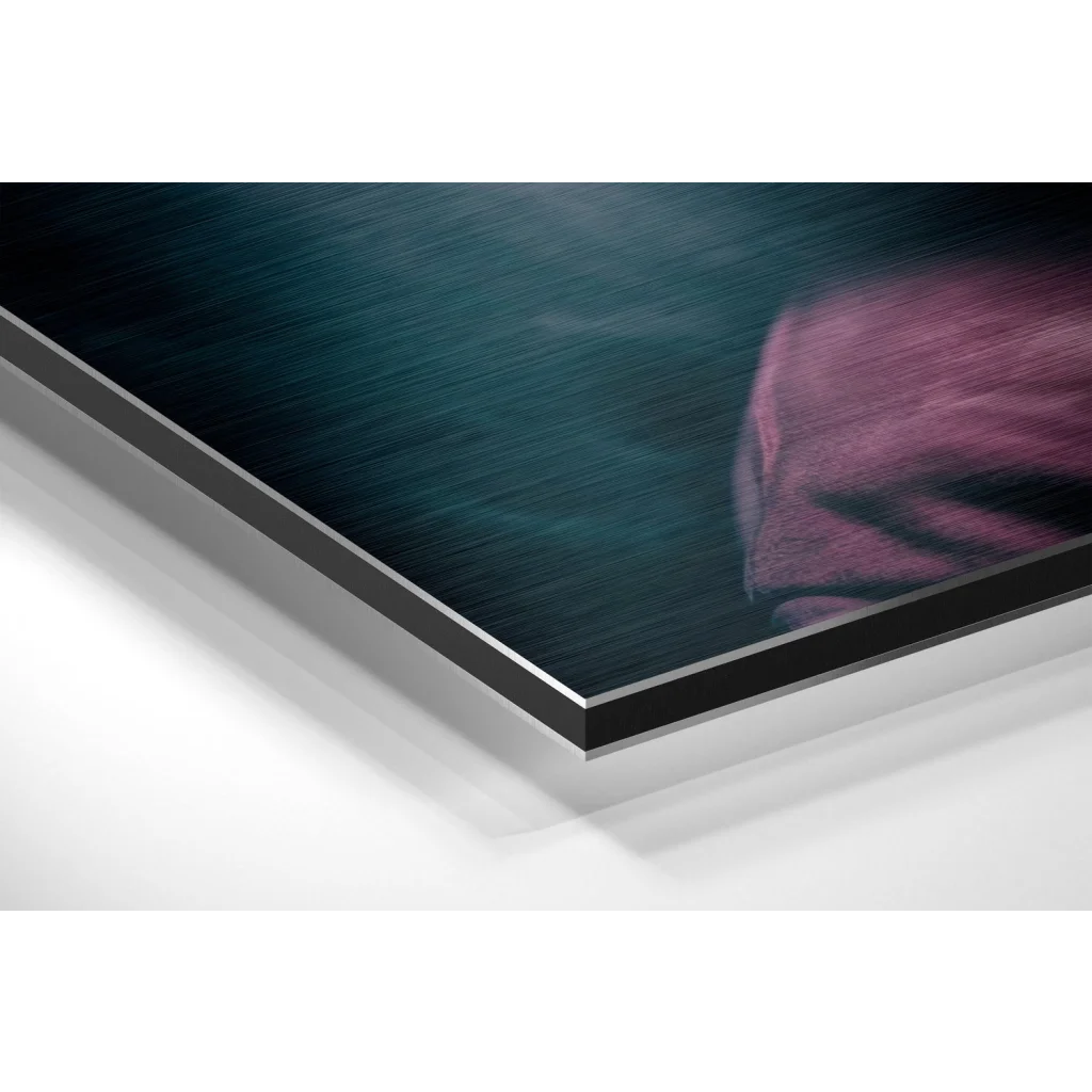 Stunning Brushed Aluminium Dibond Art Prints That Pop | Glass Wall Art Print | vintageantiquesgifts.com