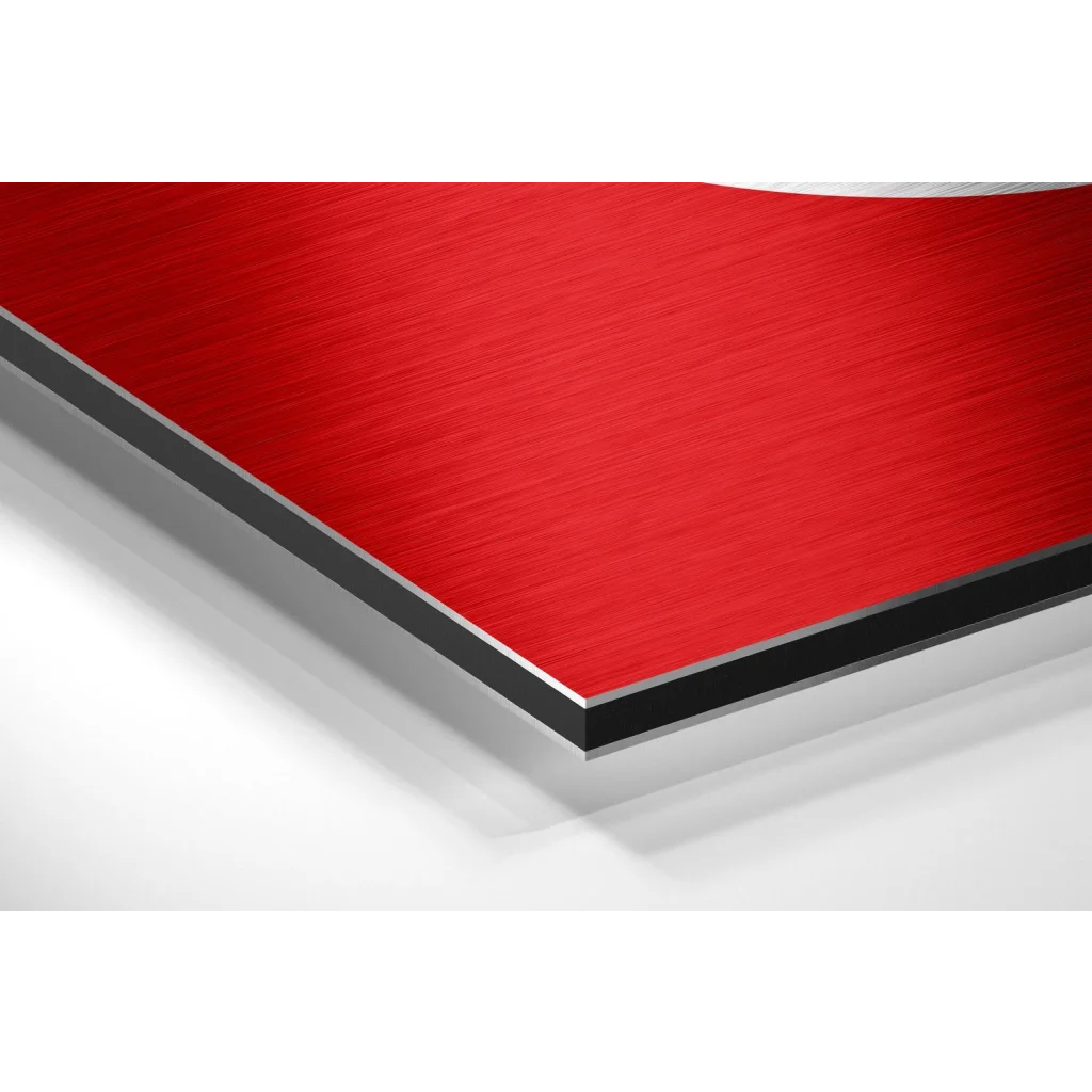 Turkish Flag Brushed Aluminium Dibond Wall Art Revolution | Glass Wall Art Print | vintageantiquesgifts.com