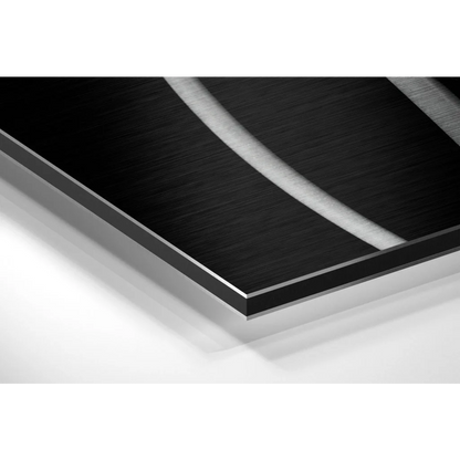 Stunning brushed aluminium dibond tulip wall art panel