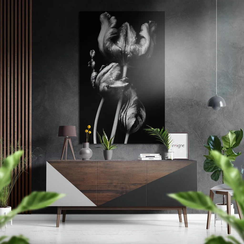 Black-and-white tulip photo on brushed aluminium dibond wall art