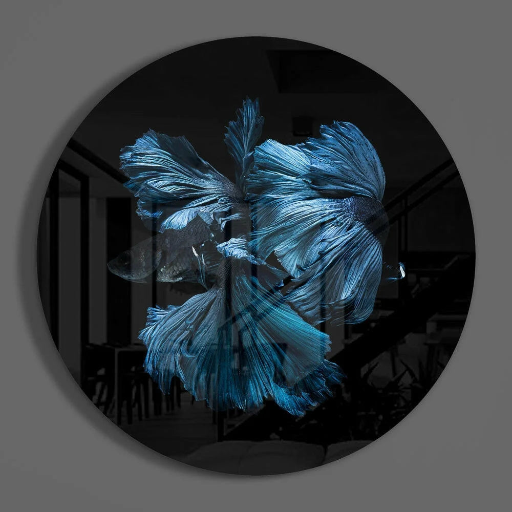 Vibrant blue betta fish tempered glass art for walls