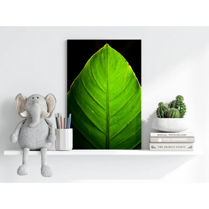 Vibrant green leaf aluminum print with detailed vein patterns on black background