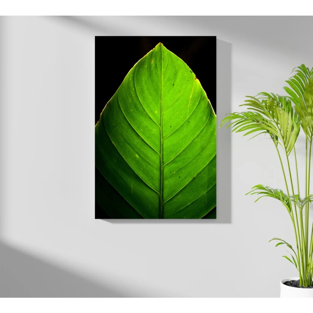Vibrant green leaf aluminum print with bold glossy finish and detailed vein patterns