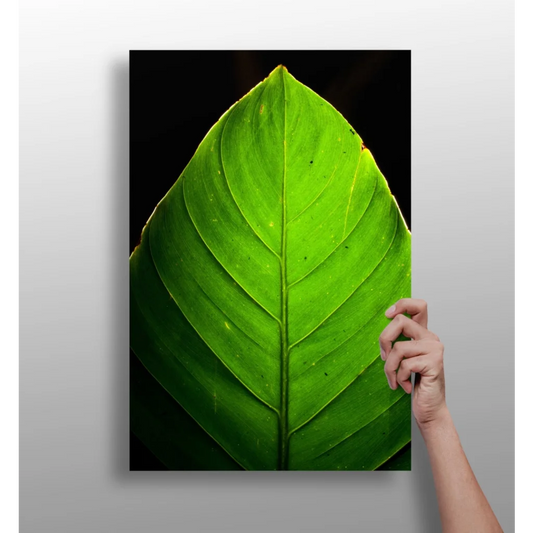 Vibrant green leaf aluminum print with detailed vein patterns