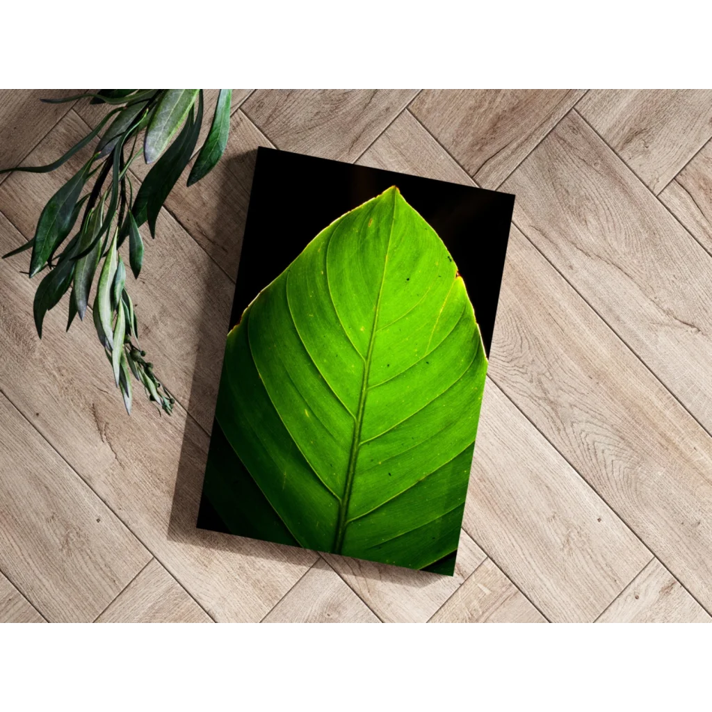 Vibrant green leaf with detailed vein patterns on black canvas aluminum print
