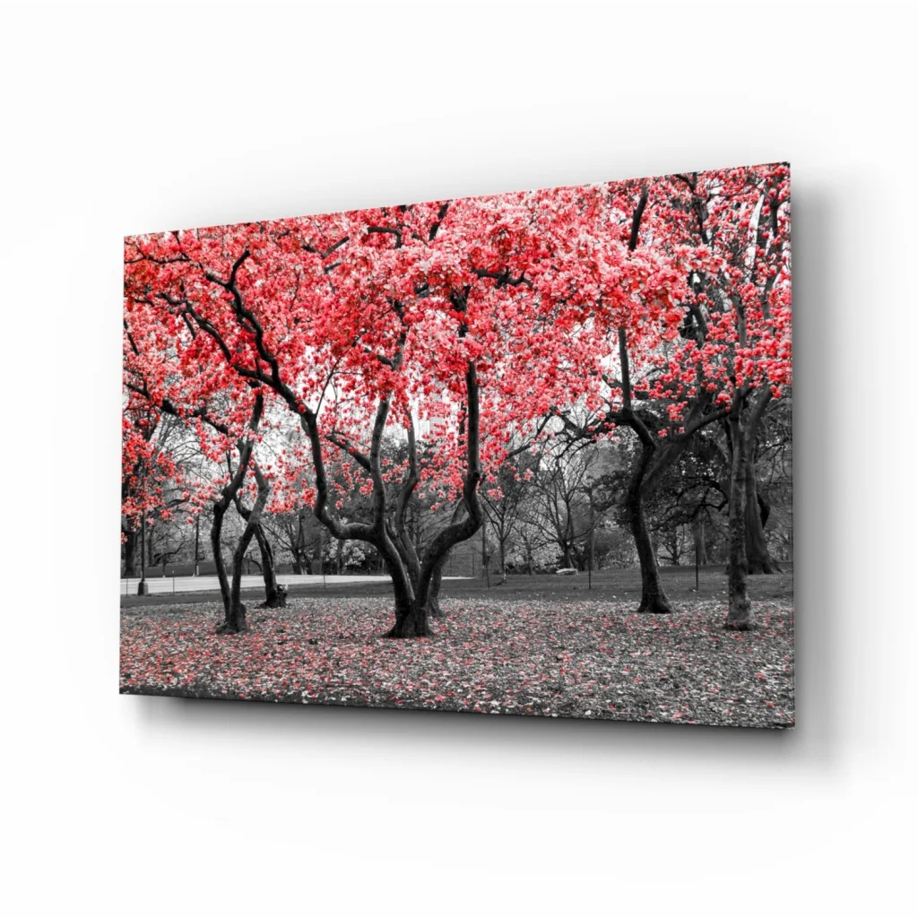 Vibrant red tree canvas wall art on black white park backdrop