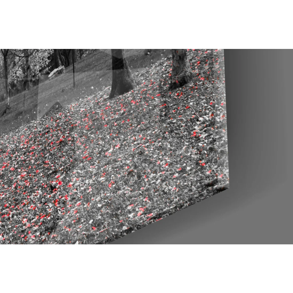 Sleek angled glass wall art of black white forest with vibrant red flowers