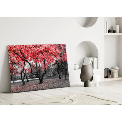 Vibrant red maple tree canvas wall art print on black white background