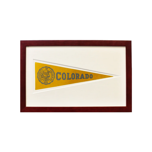 Vintage 1950s Colorado Hormel wool felt pennant flag