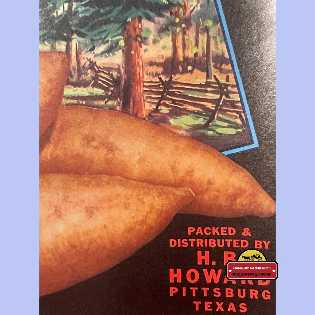 Vibrant orange Pineywoods Sweet Potato in a 1950s crate label from Texas