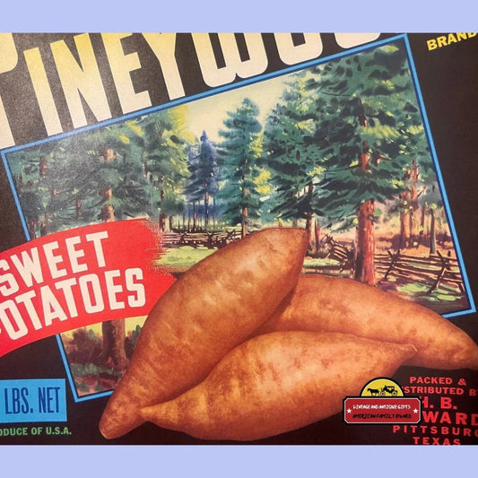 Vintage 1950s Pineywoods Sweet Potato Crate Label with fresh sweet potatoes design