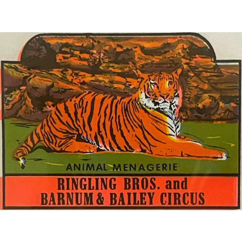 Vibrant vintage circus poster with a reclining tiger from 1950s Ringling Bros