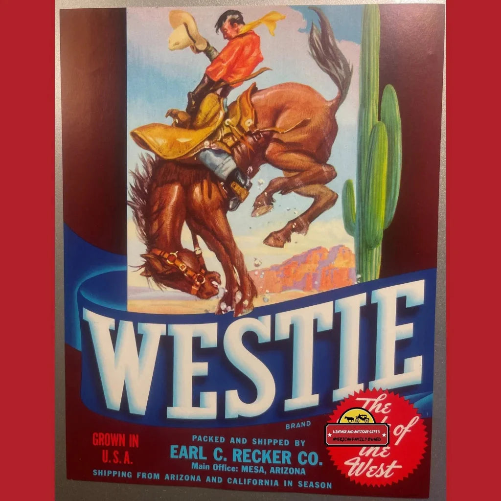 Vintage Westie crate label featuring a cowboy on a bucking bronco rodeo scene